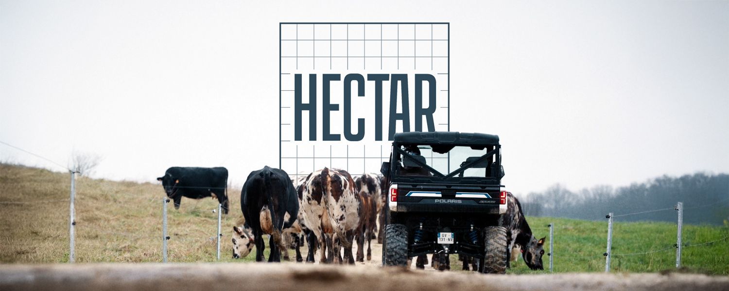 A group of cows are grazing in a field in front of a sign that says hectar.