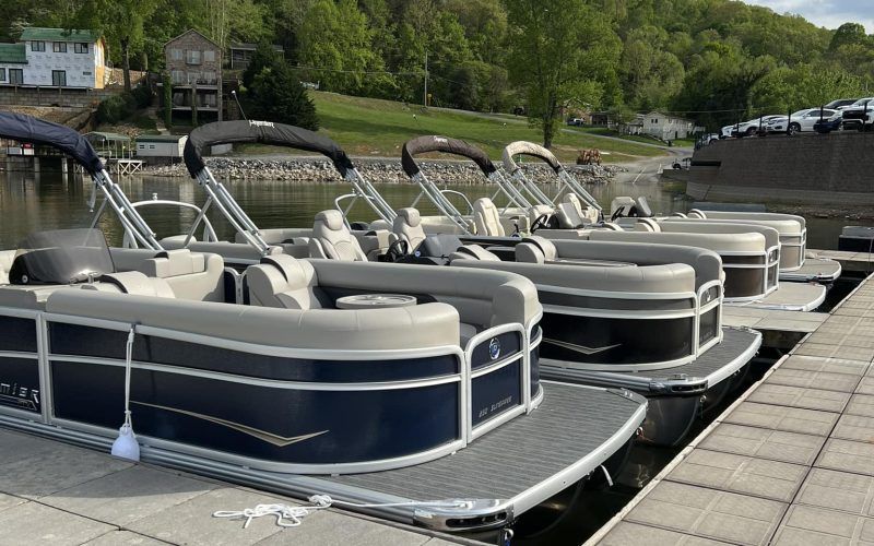 Pontoon boats docked at a marina beside a paved walkway and tree-lined shore