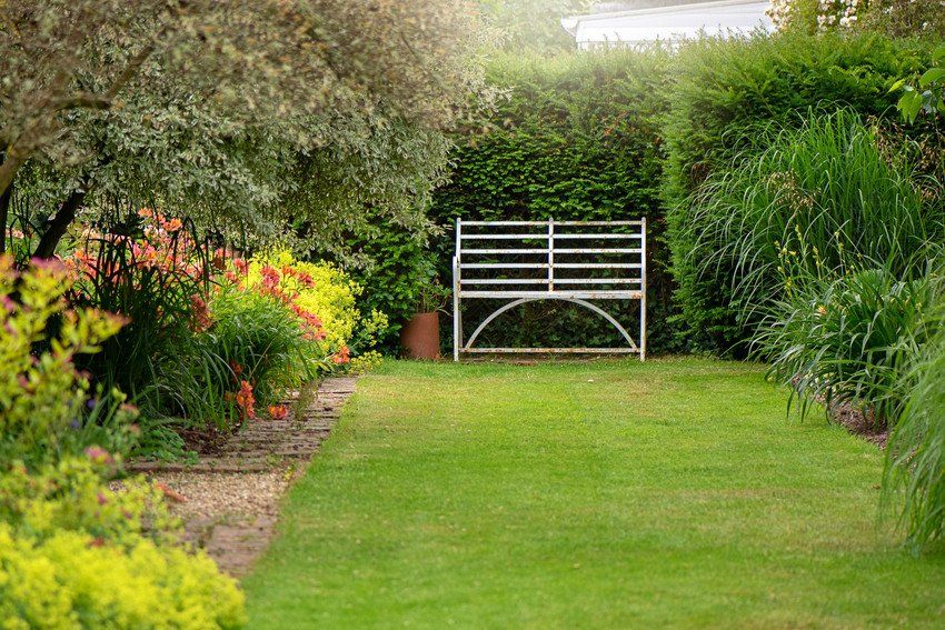 Grassed small garden with garden bench and plants