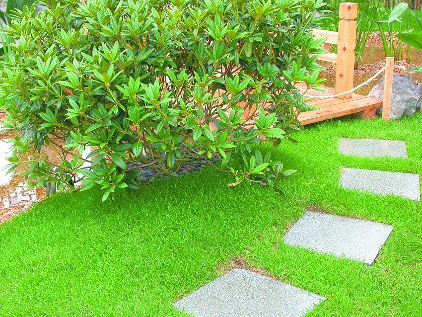 Grassed lawn with paving and decking