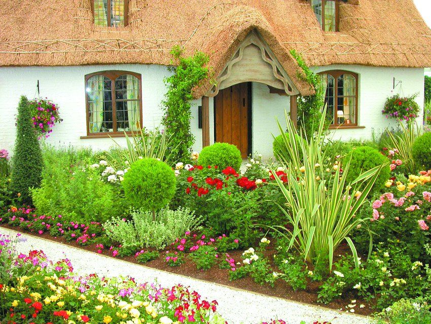 Cottage garden with flowers and shrubs