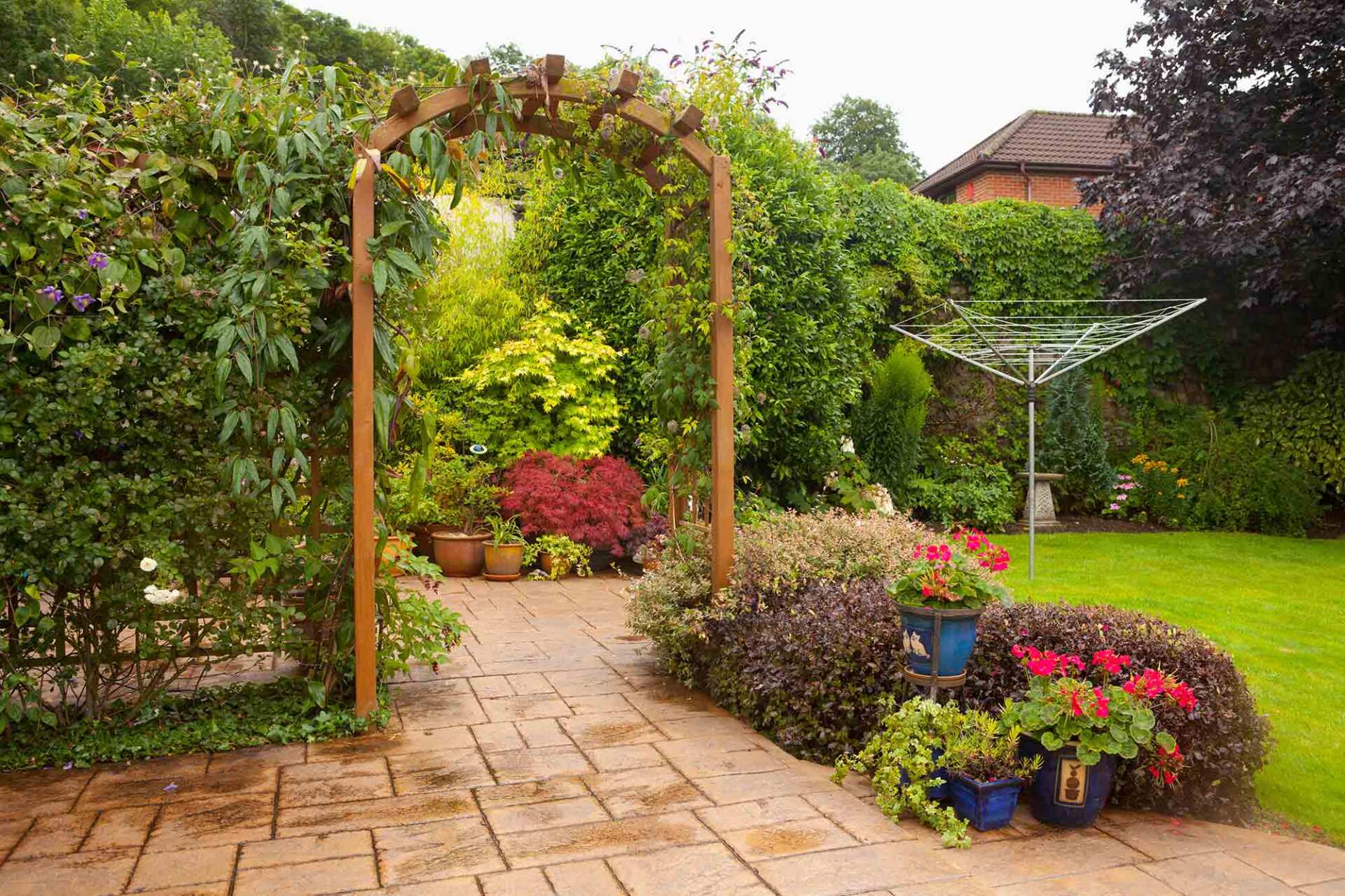Decorative garden with elegant planting and paving