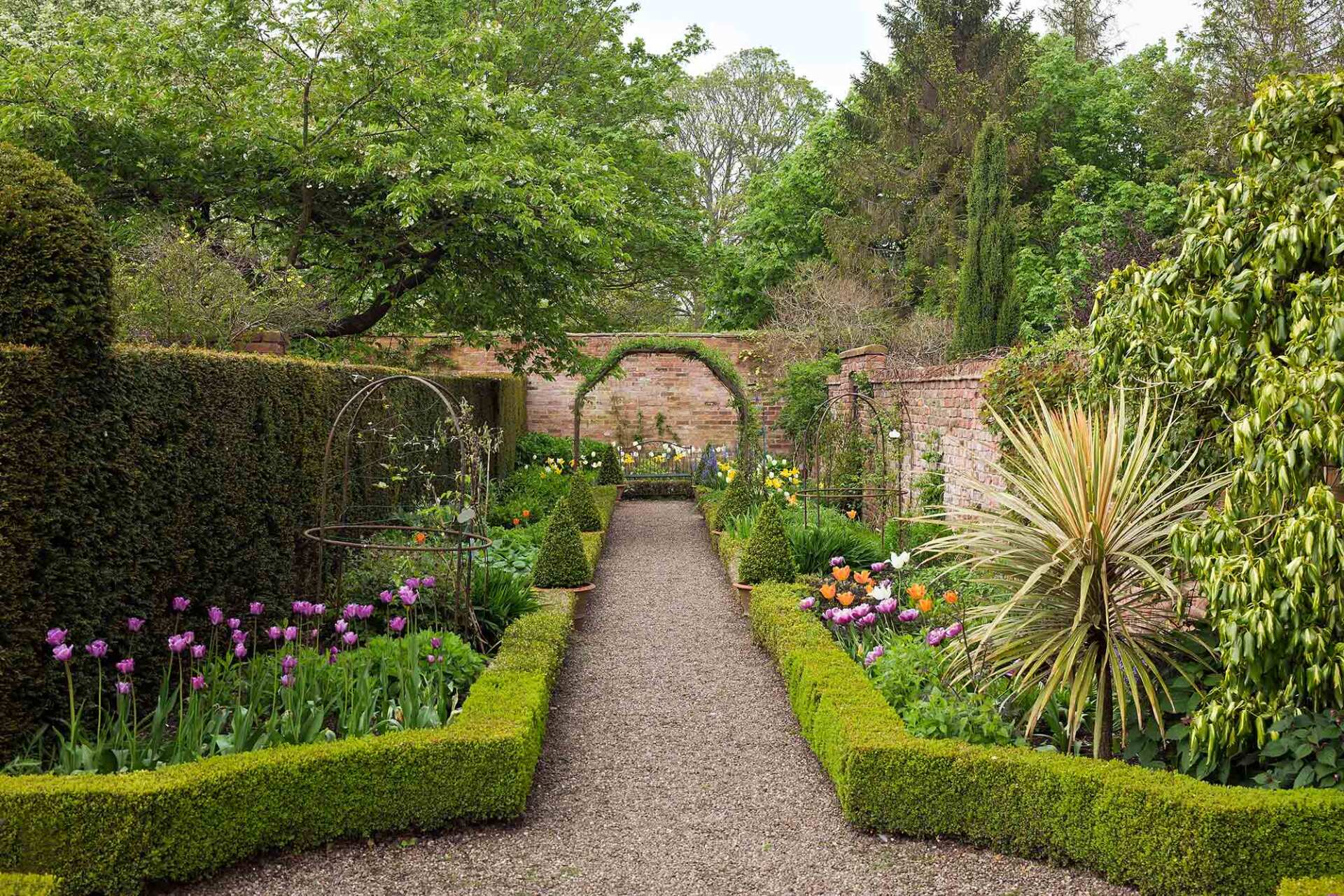 mature trees and shrubs in outstanding country garden