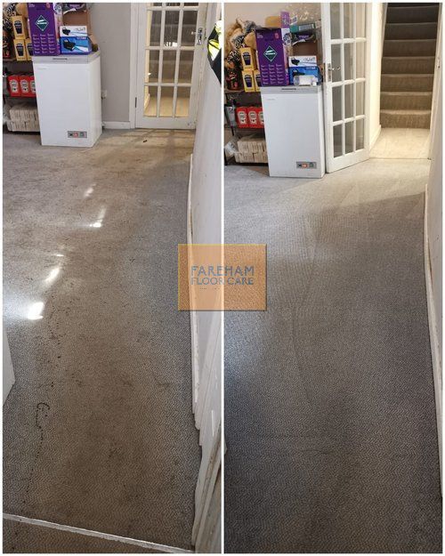 carpet stain removal Fareham