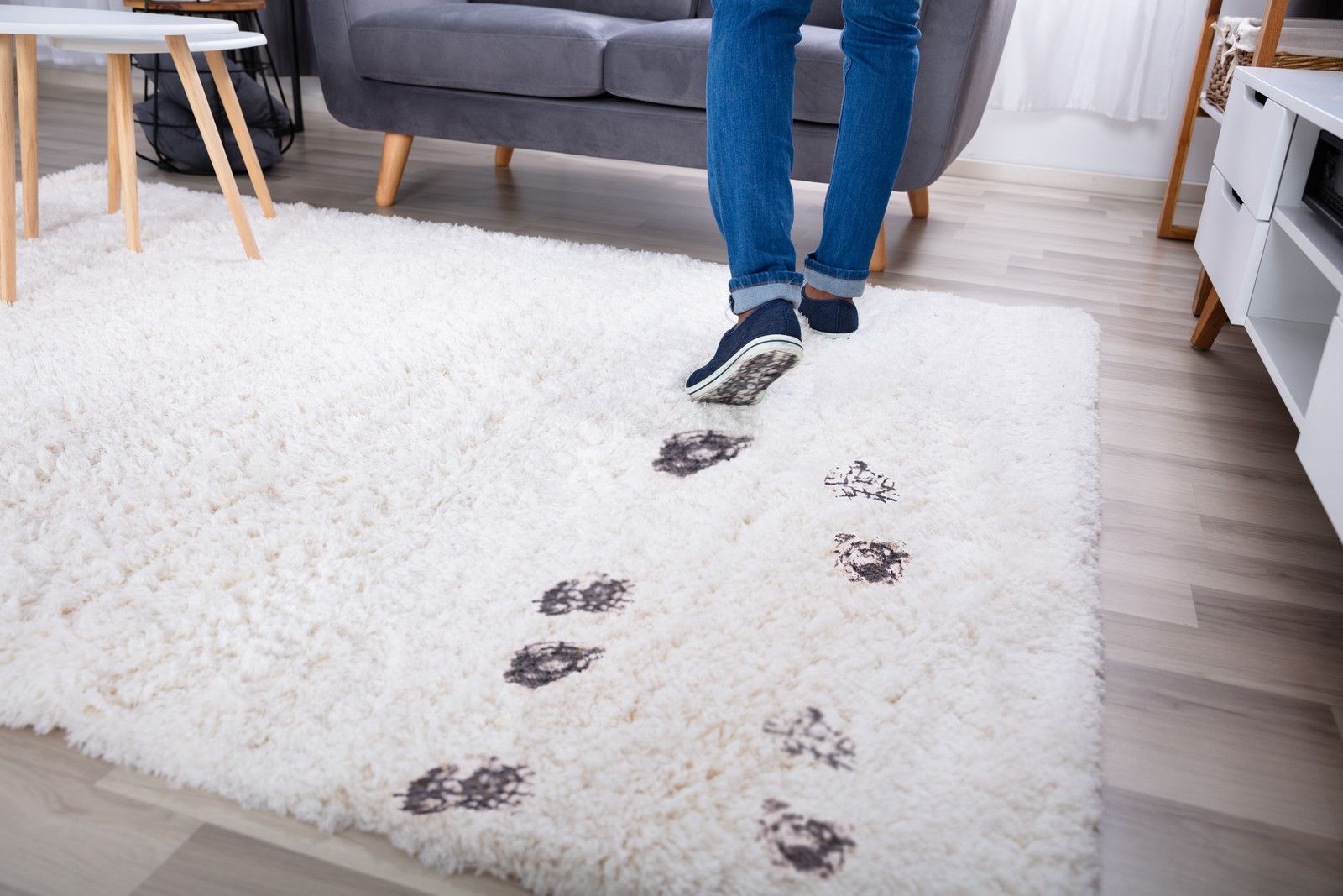 Stain Removal From Carpets in Fareham