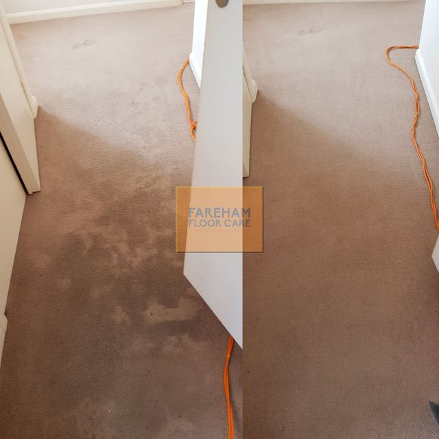 Carpet Cleaning Fareham