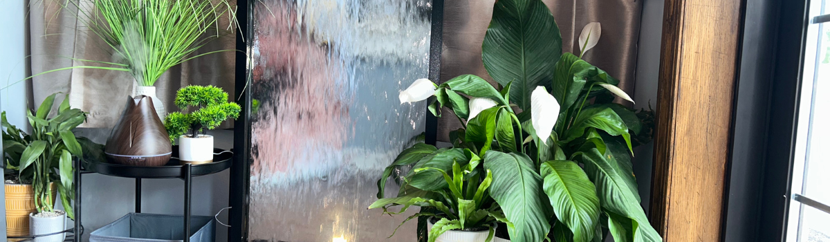 Indoor scene with plants on a tiered shelf, including a peace lily with white flowers. Window and wooden frame visible.
