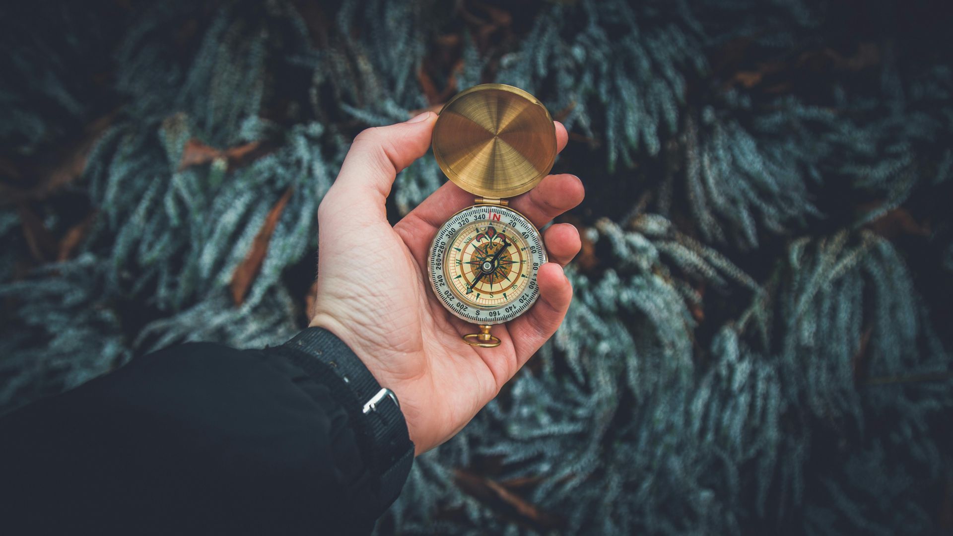 A person is holding a compass in their hand.