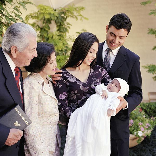 DECORACIONES SHIMMER