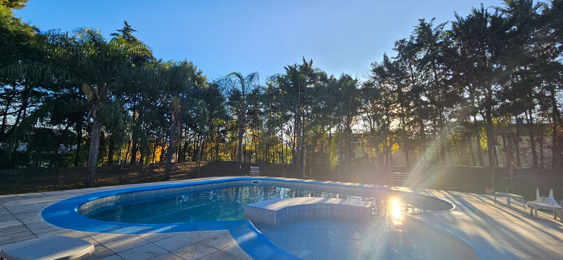 A sunlit swimming pool surrounded by tall trees under a clear blue sky.