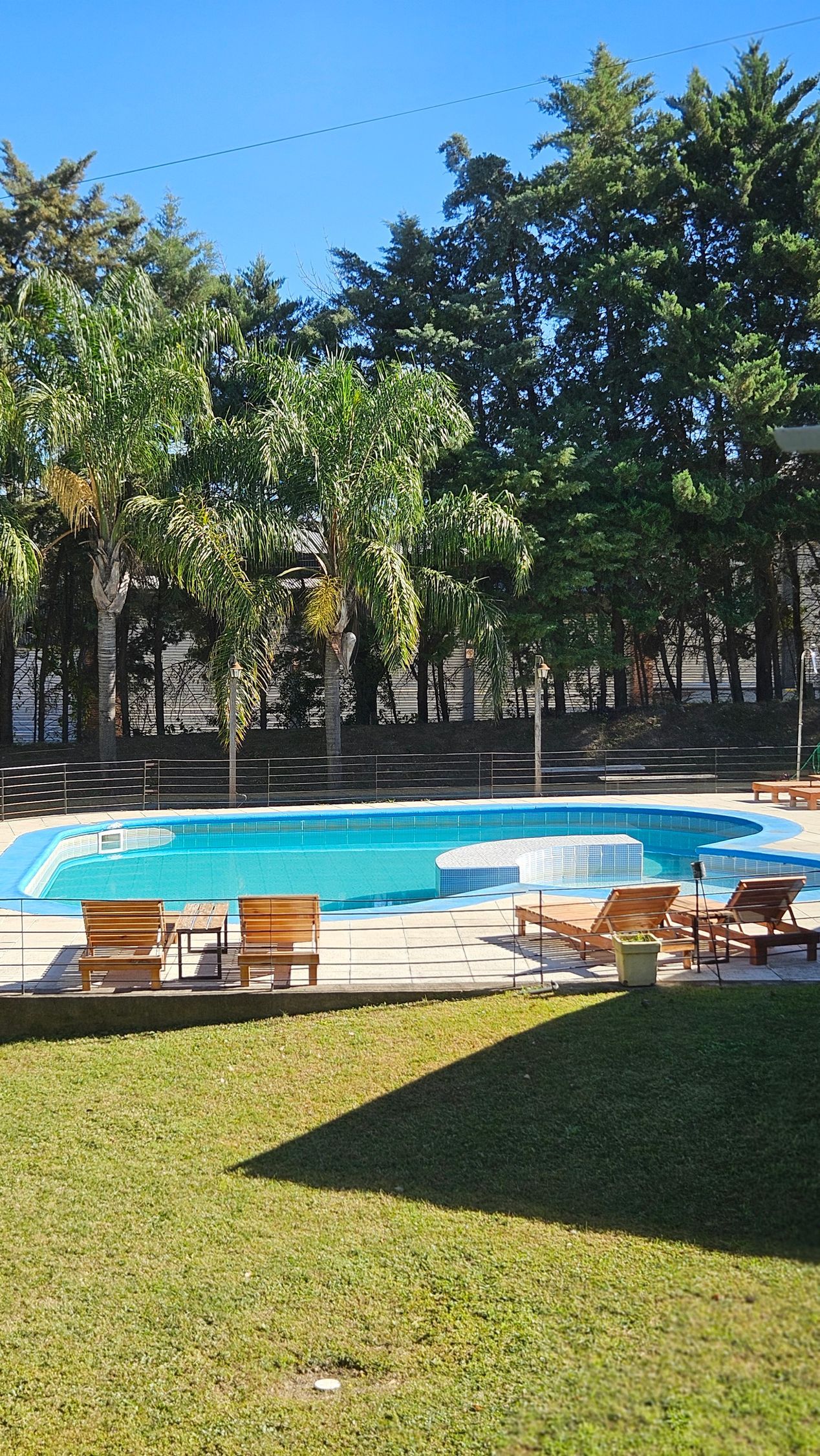 Pool with blue water surrounded by lawn, trees, and lounge chairs on a sunny day.