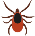 Ticks Icon — Rehoboth, MA — FLYNN PEST CONTROL