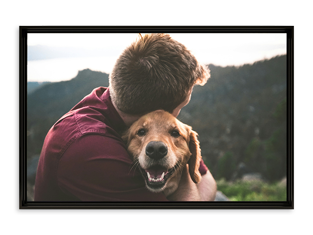 frame of a man is hugging a dog with mountains in the background .