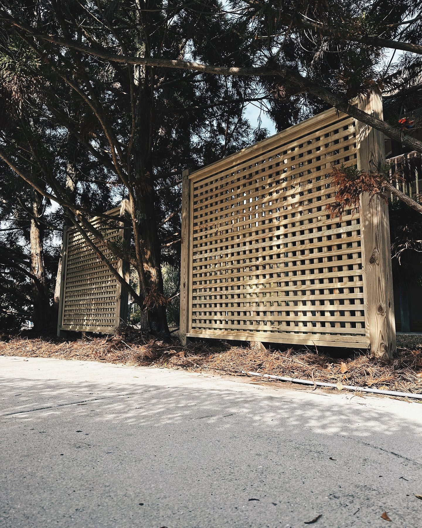 A wooden fence is surrounded by trees on the side of a road.