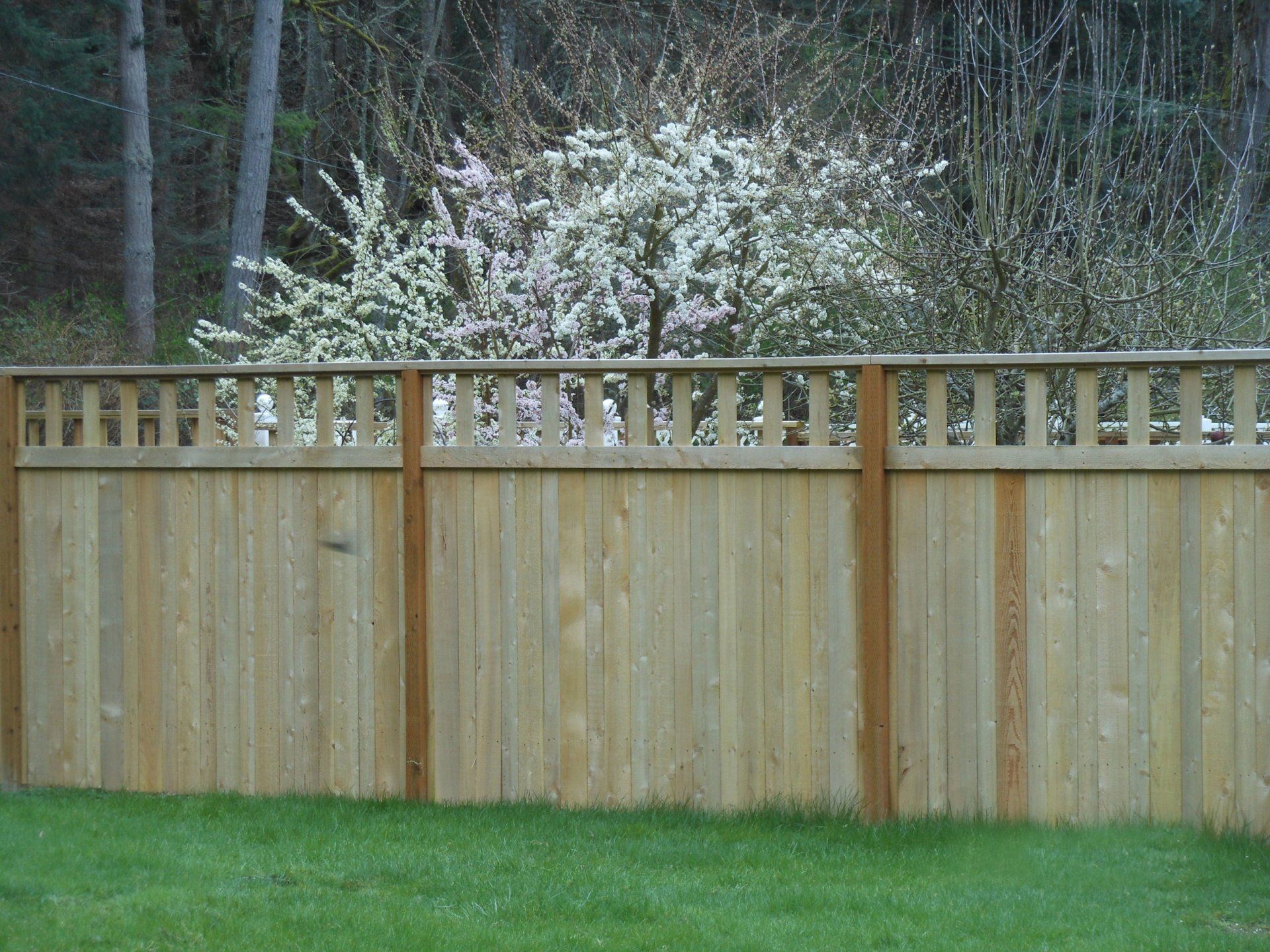 Catwalk fence — Garden Fencing Installation in Fermdale, WA