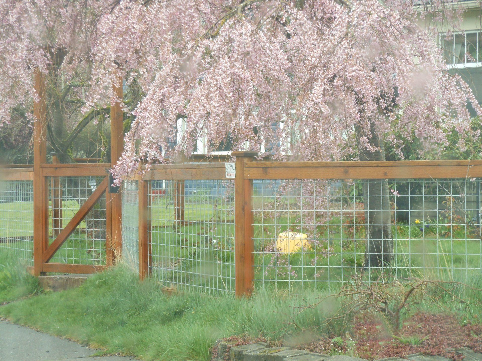 Fence and deck — Pet fence Installation in Fermdale, WA