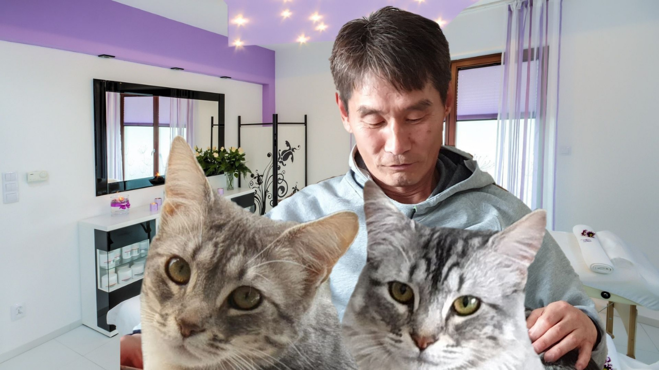 Around the World with my Cats