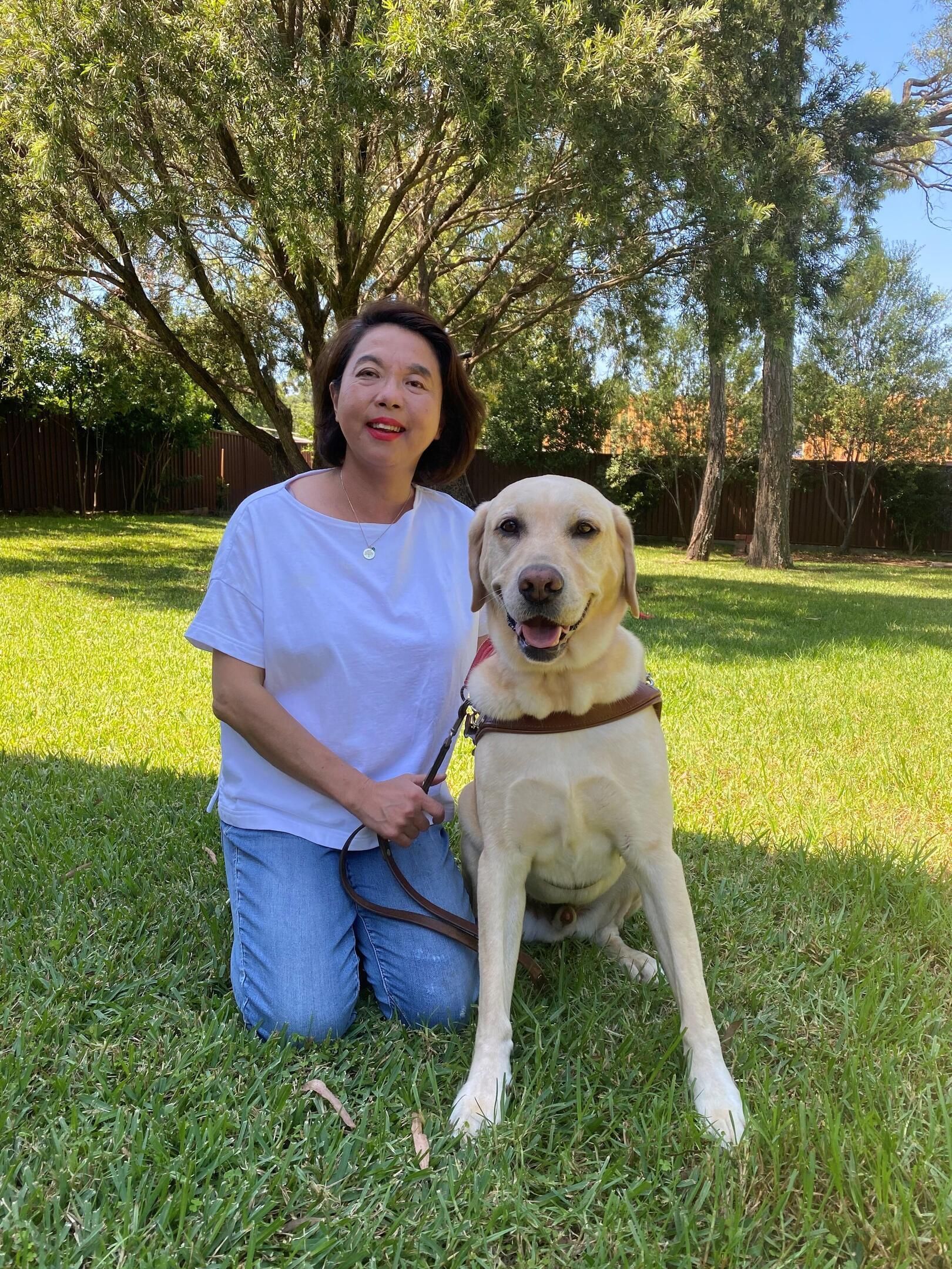 My Guide Dog - A Reliable Mobility Aid and Loyal Companion