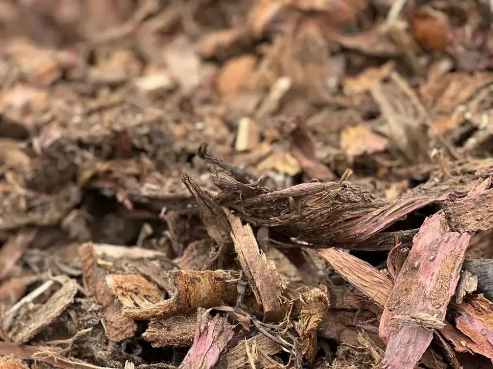 A Person Is Holding A Pile Of Dirt In Their Hand — Cooroy Landscape Supplies And Garden Centre In Eumundi, QLD