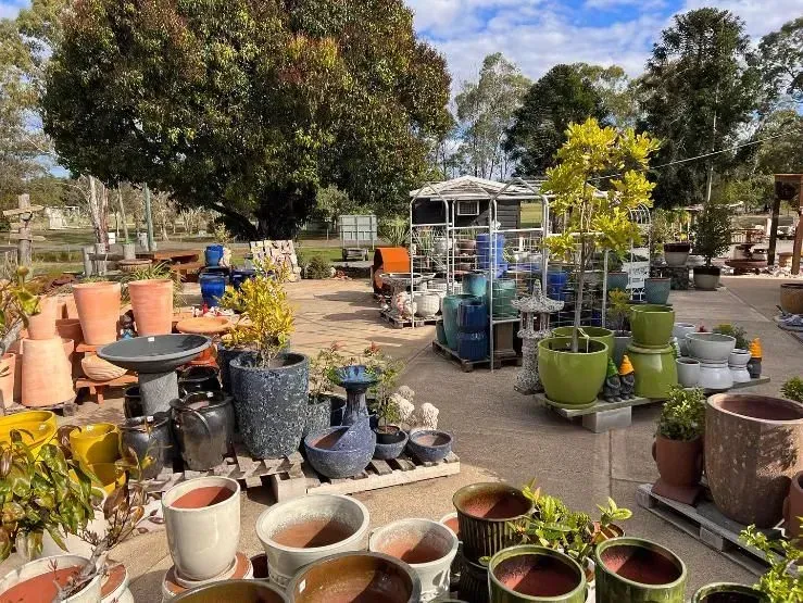 Woman Planting In A Pot — Cooroy Landscape Supplies And Garden Centre In Gympie, QLD