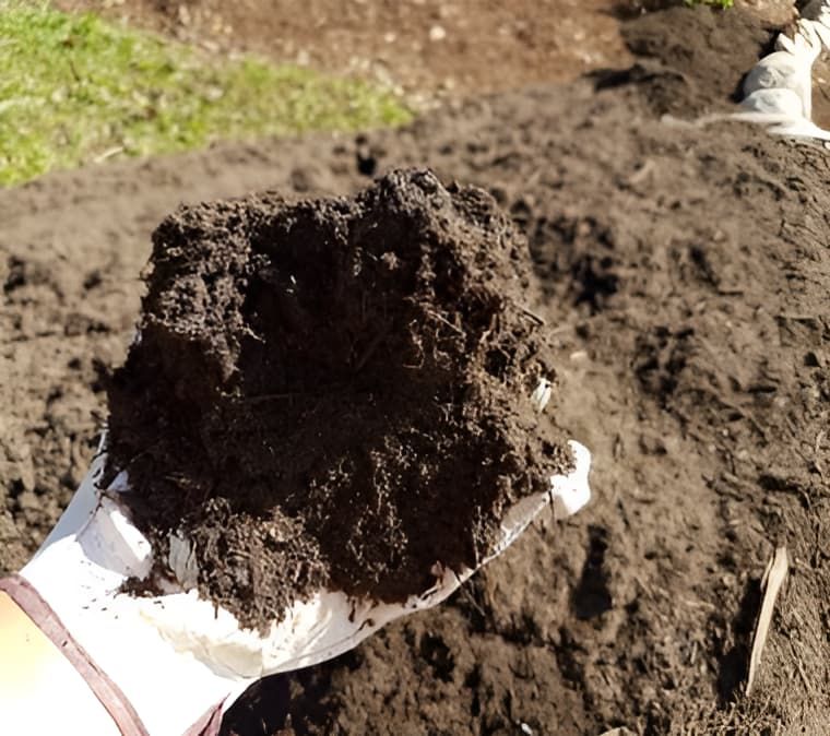 A Person Is Holding A Pile Of Dirt In Their Hand — Cooroy Landscape Supplies and Garden Centre in Eumundi, QLD