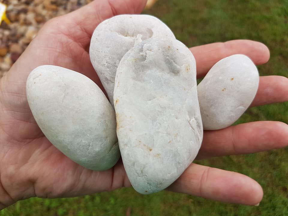 A Person Is Holding Three White Rocks in Their Hand — Cooroy Landscape Supplies and Garden Centre in Cooroy, QLD