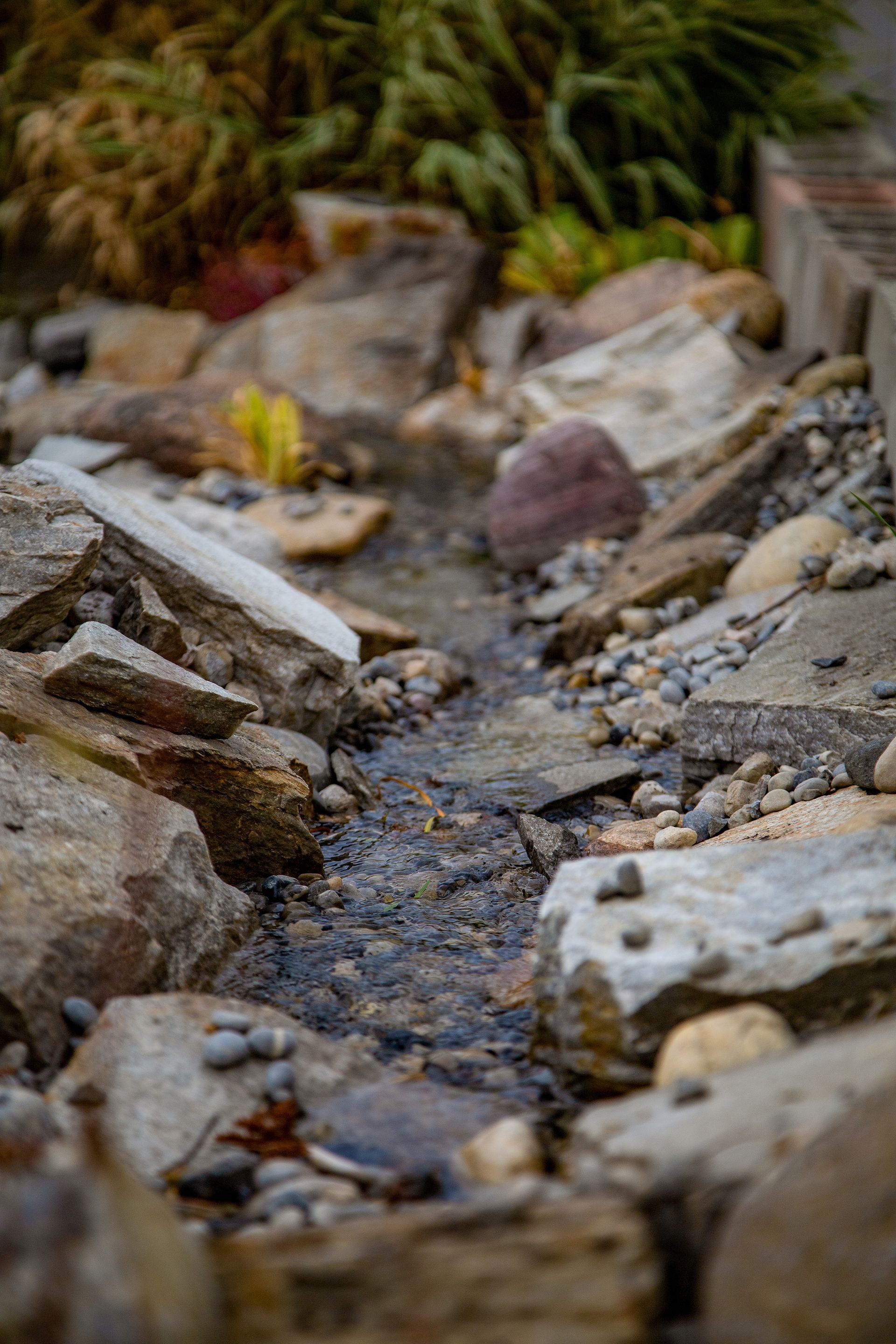 A stream running through a rocky area in a garden.