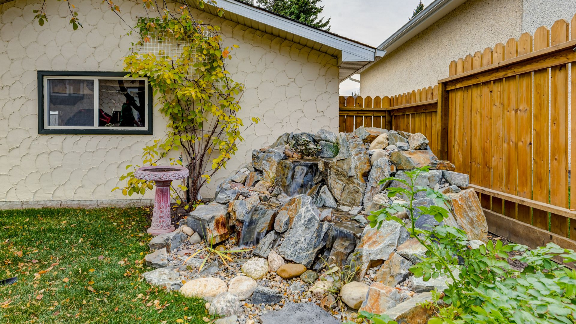 Backyard with a large rock pile beside a house, wooden fence, and a small tree with yellow leaves.