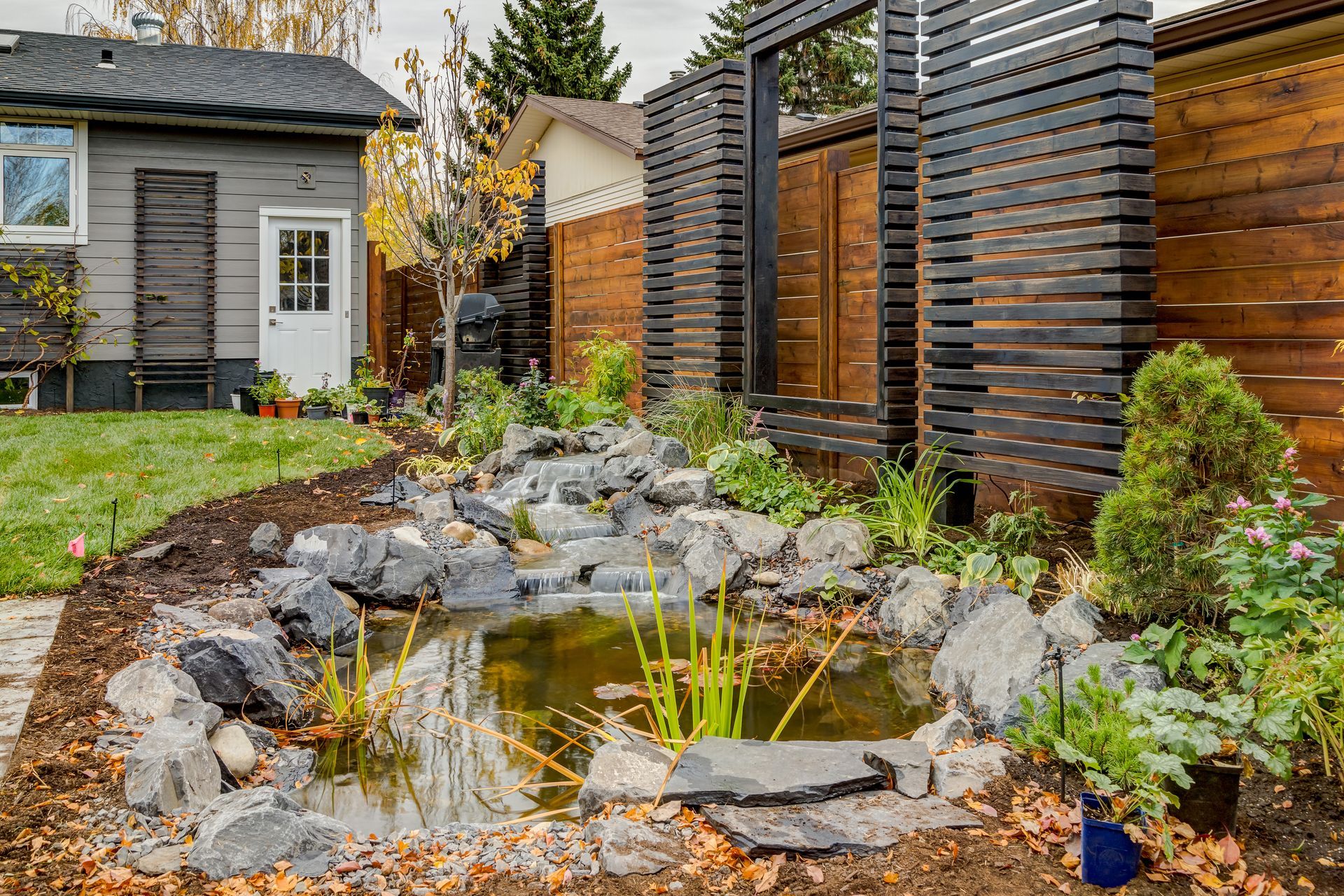 A backyard pond with rocks, plants, and a dark wooden fence. A small grey shed is visible.