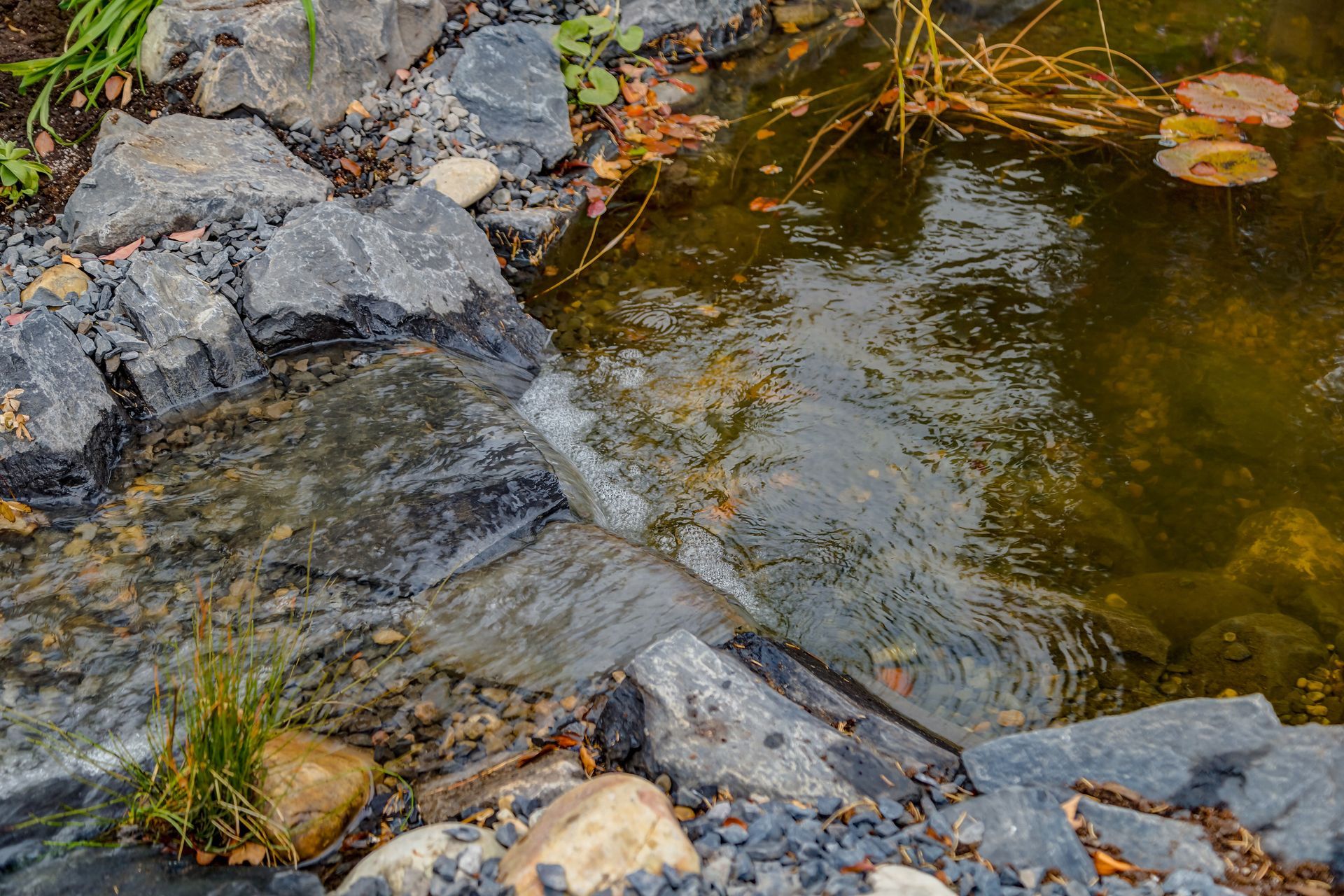 Water flows over dark rocks into a pond with lily pads.