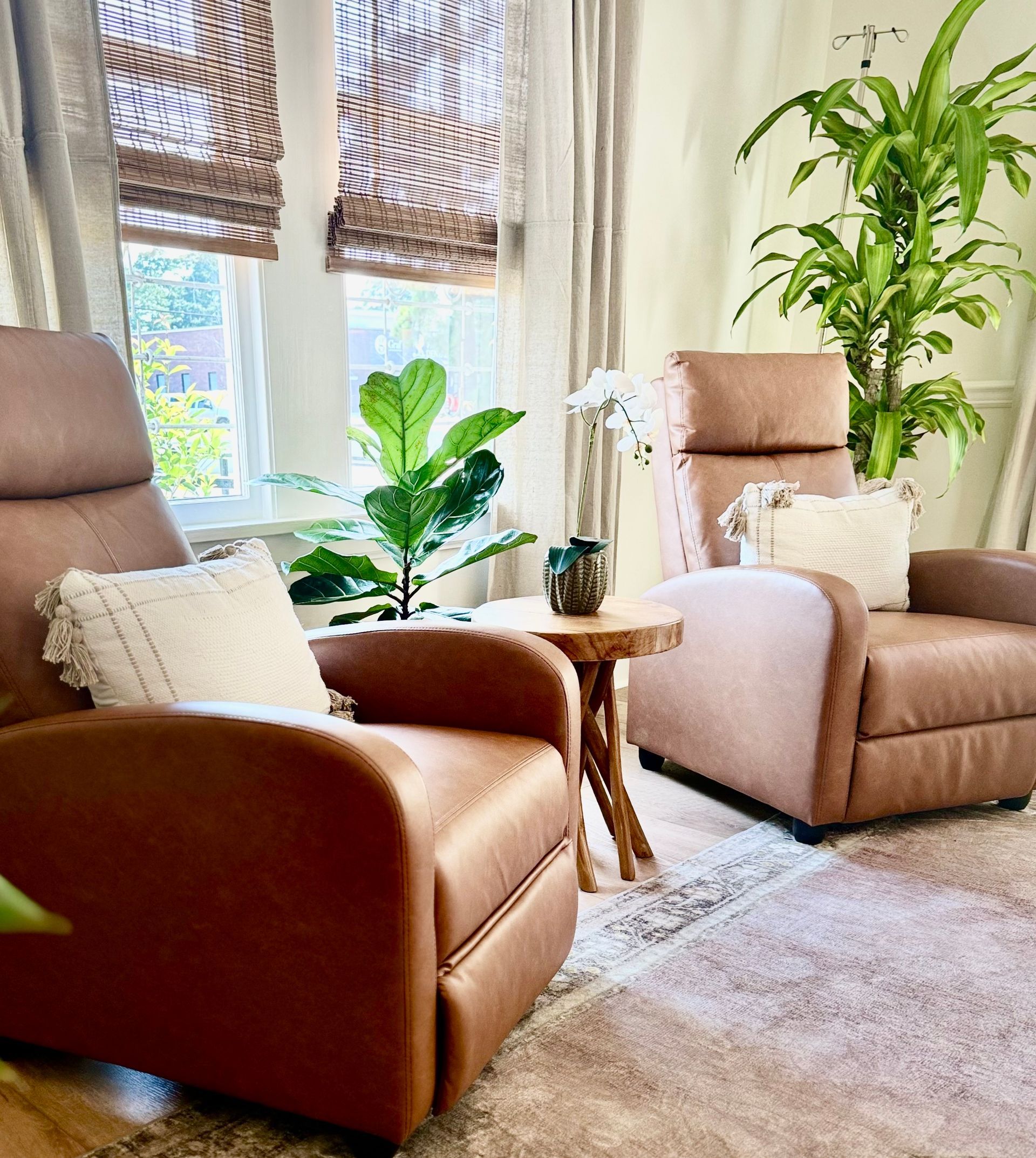 A living room with two chairs , a table , and a plant.