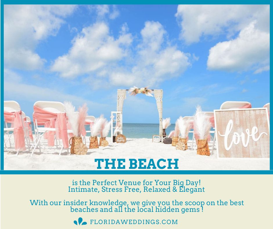 Social Media Content Creator