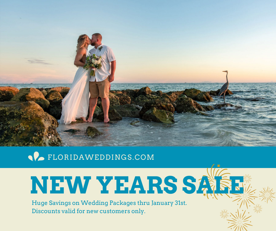 Social Media Content Writer