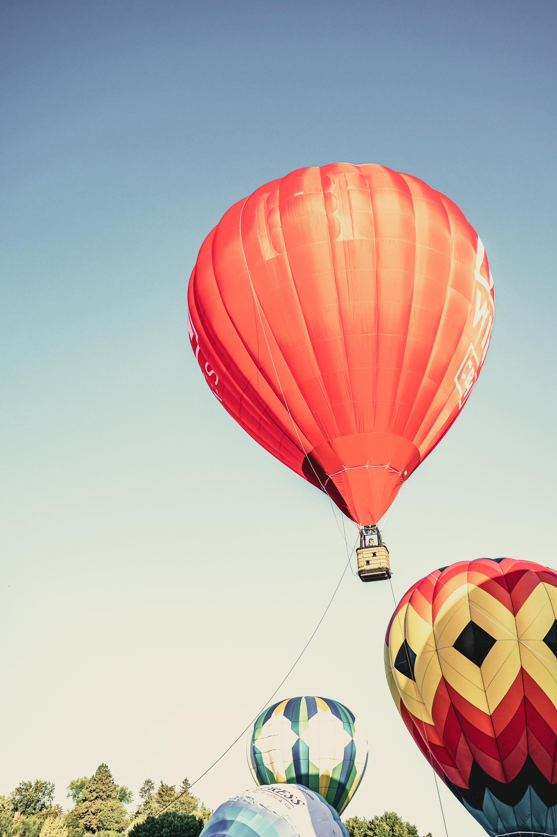 Social Media Content Writer