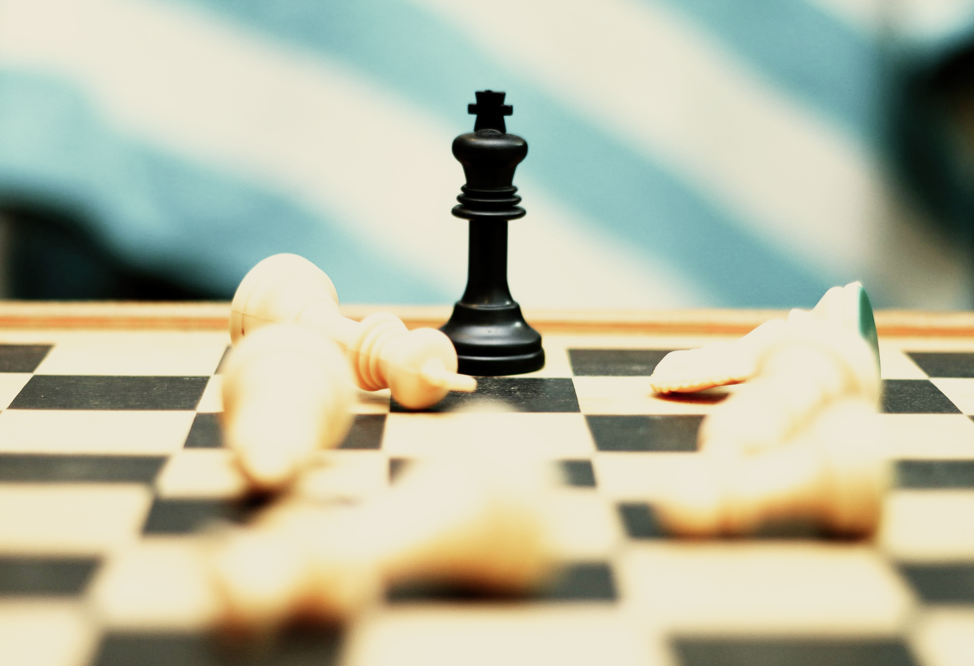 Social Media Content Creator in Florida