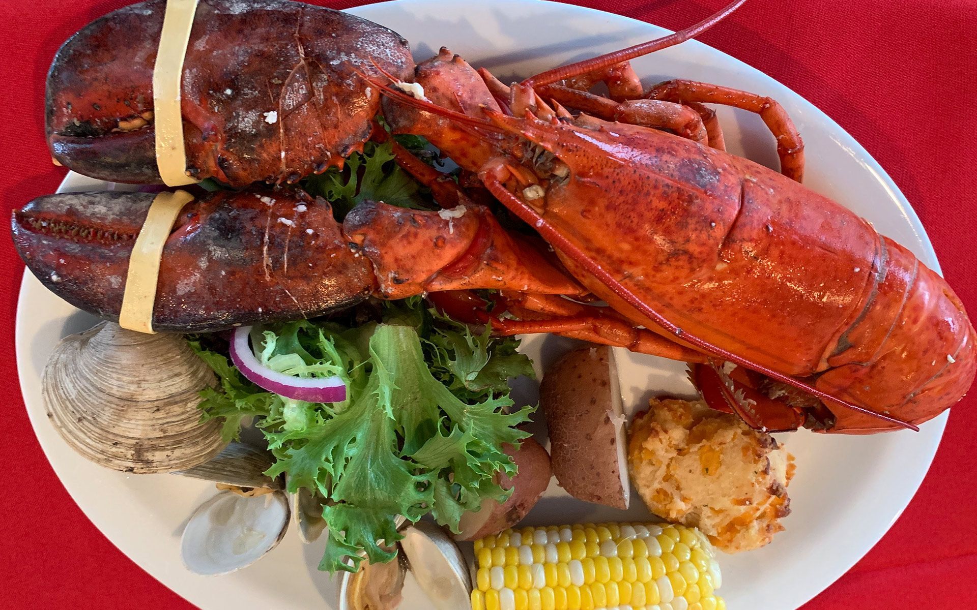 Fresh Seafood Tampa, FL Lobster Haven