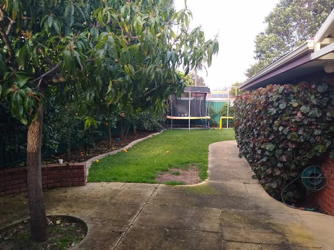 Backyard with a lawn, trees, trampoline, and a concrete path.