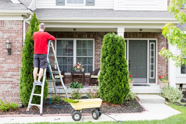 man in the ladder