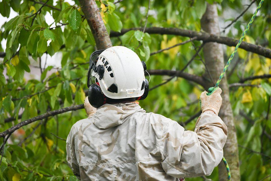 worker holding the rope
