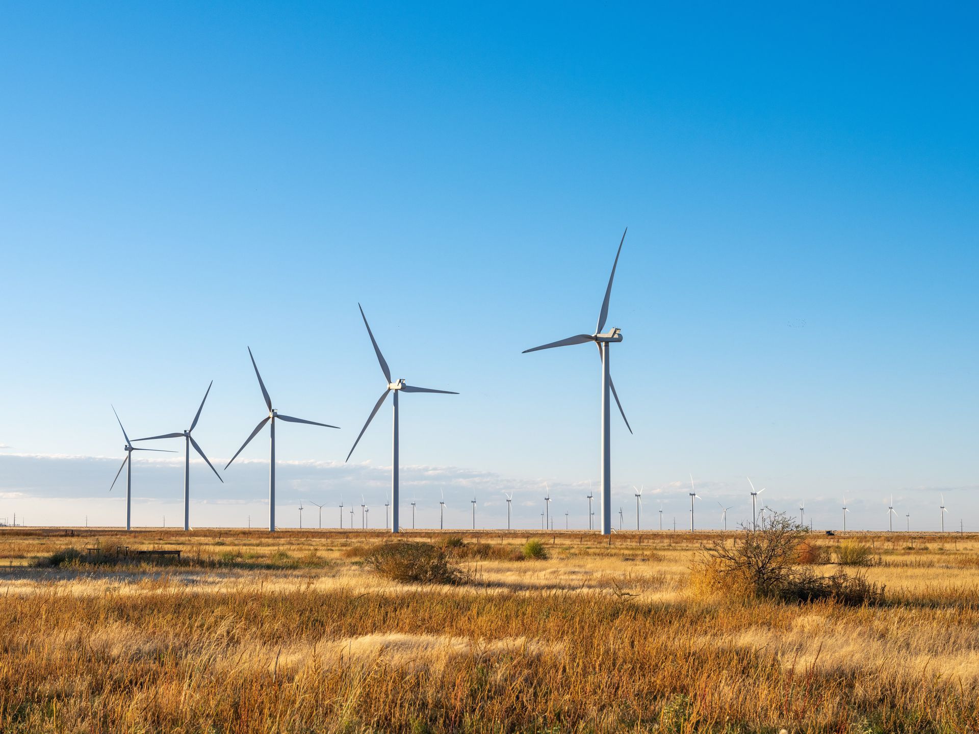 Wind turbines in a field of dry grass under a clear blue sky.
