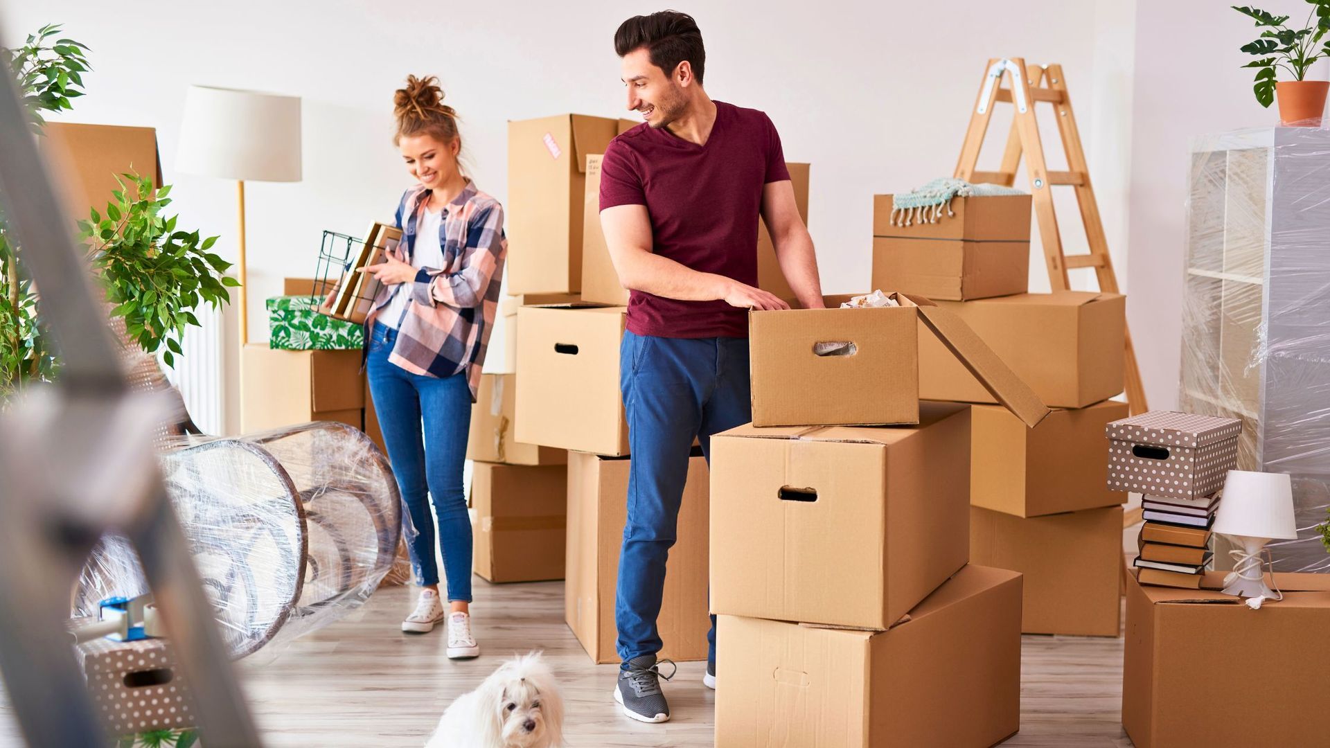 Couple unpacking boxes in a new home. A small dog watches.