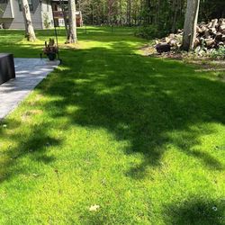 A lush green lawn with trees in the background and a table in the foreground.