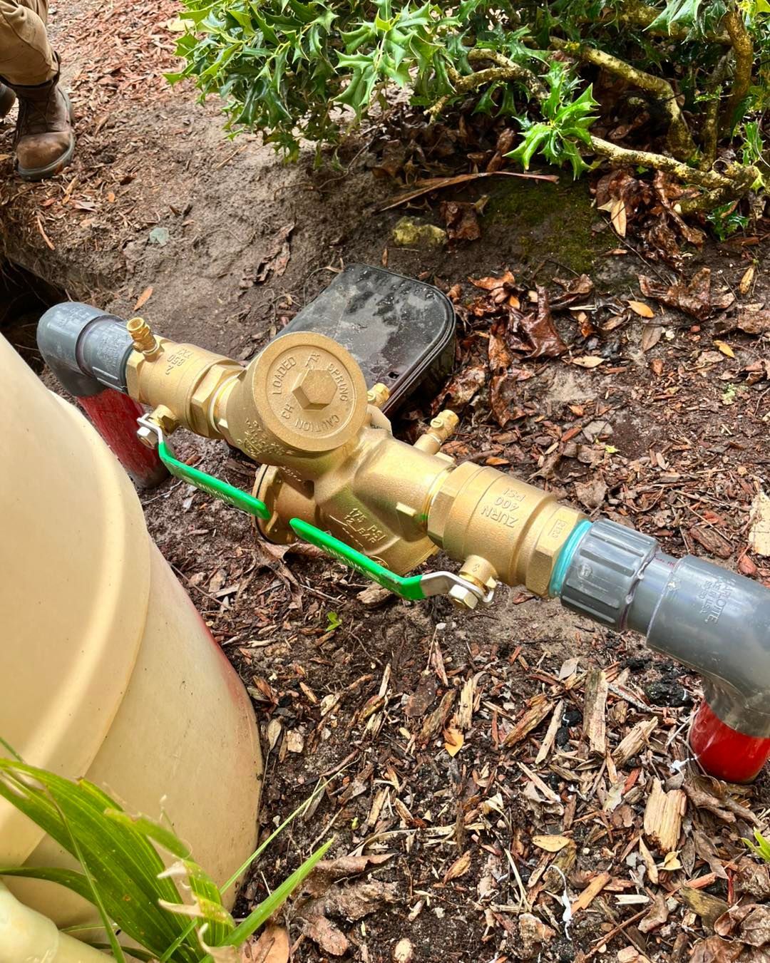 A brass backflow prevention valve installed on an irrigation pipe, positioned in soil outdoors next to a plastic container.