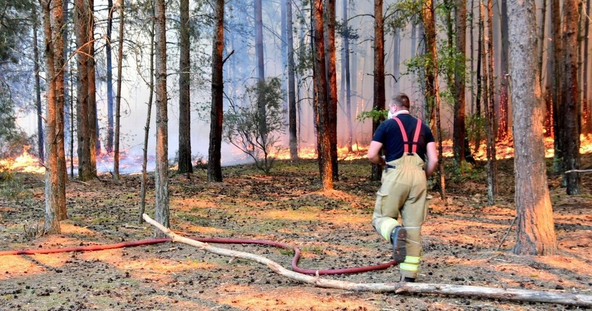 thursley common fires