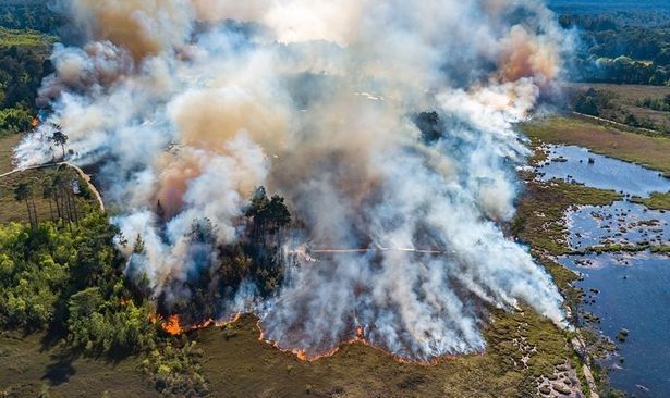 thursley common drone shot of fires in surrey