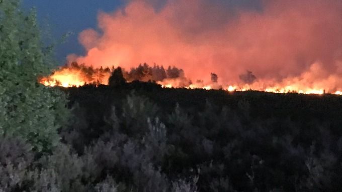 thursley common fires in surrey