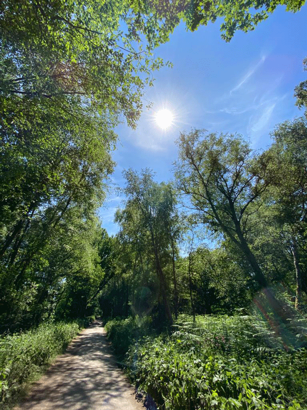 Office space in the countryside