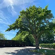 Grade A Office Space in Surrey