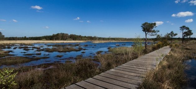 Office Space in Surrey Countryside