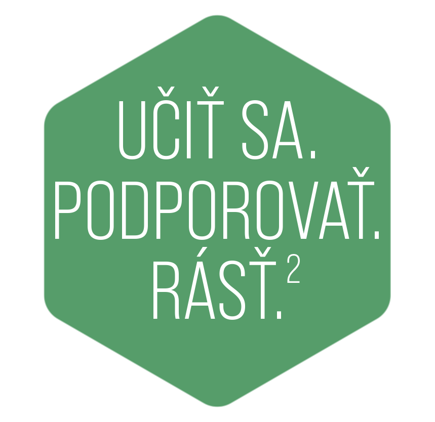The logo for lsg2 learn serve grow is a green hexagon.